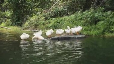 Vietnam 'ın Ninh Binh Bölgesi' ndeki Manzaralı Dağlar