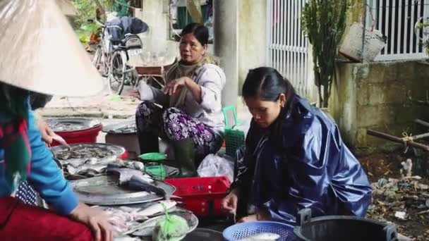 People buy and sell seafood and vegetable on the street food market in Asia — Stock Video