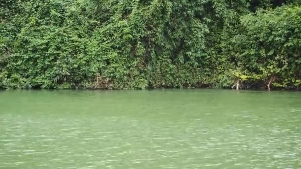 Vistas a la orilla del río en Vietnam, Asia — Vídeos de Stock
