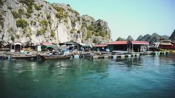 Floating Fishing Village In The Ha Long Bay. Cat Ba Island, Vietnam. — Stock Video