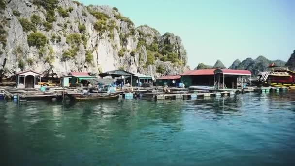 Ha Long Körfezi 'nde yüzen balıkçı köyü. Cat Ba Adası, Vietnam. — Stok video