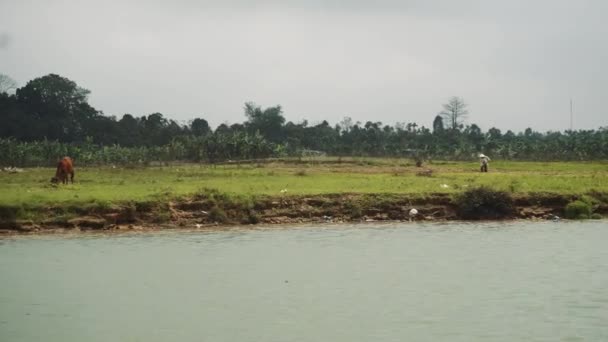 Vista sul fiume in Vietnam, Asia — Video Stock