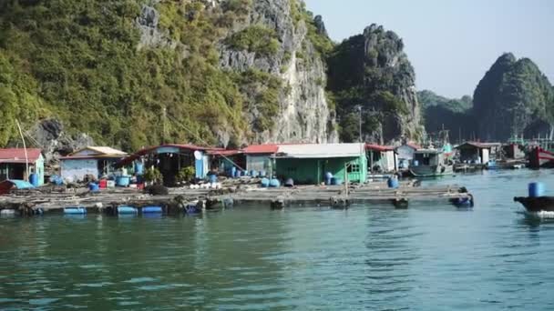 Bateau de croisière touristique dans la baie de Lagoon Halong, Cat Ba Island Vietnam — Video