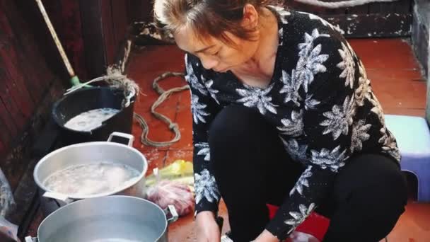 Eine Frau kocht auf einem Schiff Essen. Long Bay, Vietnam. — Stockvideo