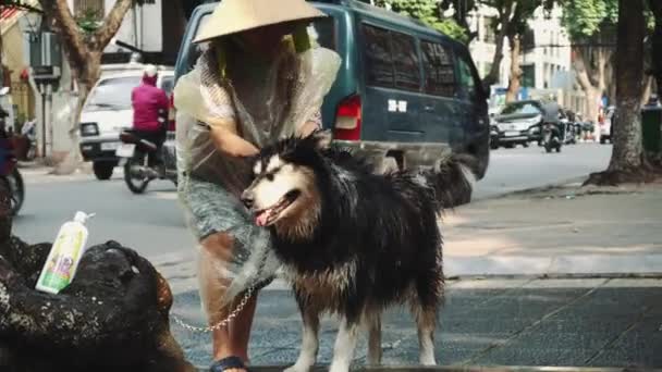 Schuss asiatischer Frauen beim Waschen seines Hundes auf der Straße in Hanoi, Vietnam. — Stockvideo