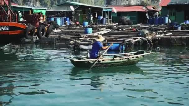 海龙湾的小船猫巴。越南 — 图库视频影像