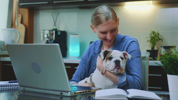 Gülümseyen kadın bilgisayarın başında oturmuş Bulldog 'u okşuyor ve sarılıyor.