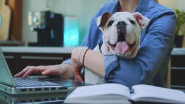 Kadınların elleri bilgisayarda daktilo kullanıyor ve küçük bir bulldog tutuyor.