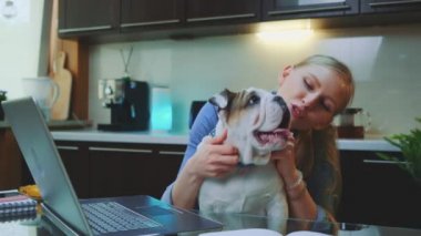 Mutfakta dizüstü bilgisayarın önünde oturan buldog köpeğinin boynunu tırmalayan mutlu sarışın kadın.