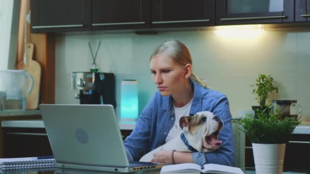 Jovem mulher trabalhando no computador e segurando pequeno cão em suas mãos — Vídeo de Stock