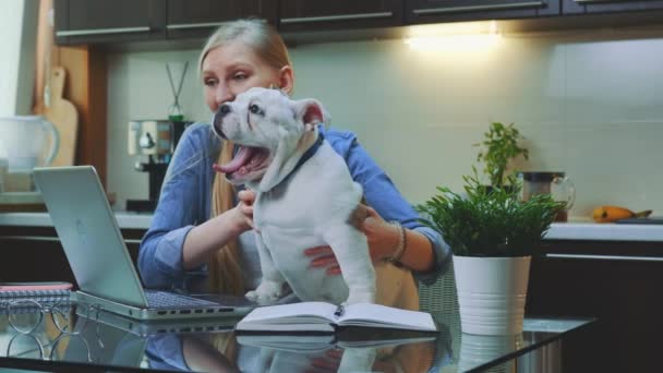 Happy woman making video call on laptop with a small bulldog on her hands. — Stock Video