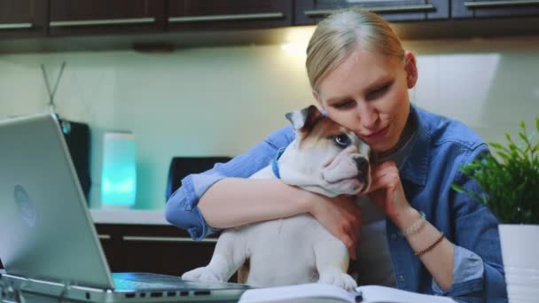 Mulher bonita lendo algo no laptop e brincando com buldogue bonito — Vídeo de Stock