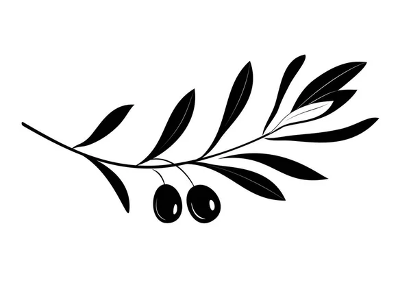 Étiquette ou logo d'huile d'olive pour magasin ou marché agricole. Branche oléagineuse . — Image vectorielle