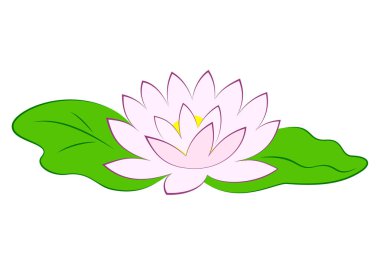 Güzel pembe lotus çiçeği yeşil su birikintisi içinde bırakır. Nilüfer vektör illüstrasyon izole beyaz arka plan üzerinde poster.