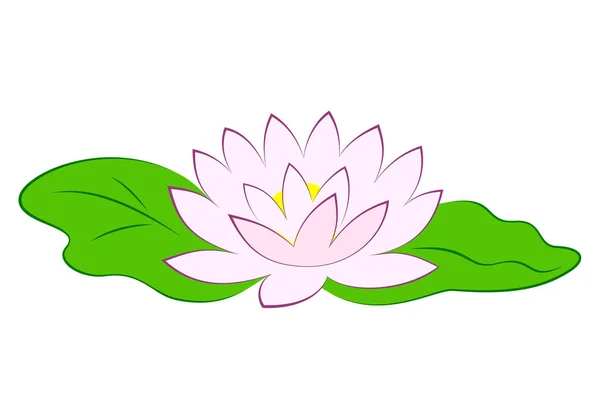 Hermosa Flor Loto Rosa Con Hojas Verdes Estanque Póster Con — Vector de stock