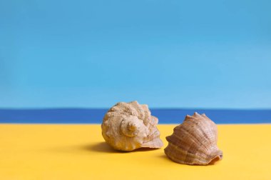 Deniz manzarası arka plan üzerinde sahilde deniz kabukları.