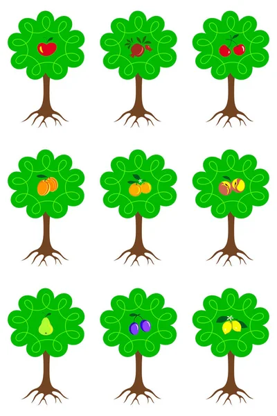 Uppsättning av olika tecknade fruktträd med mogna frukter och rötter. — Stock vektor