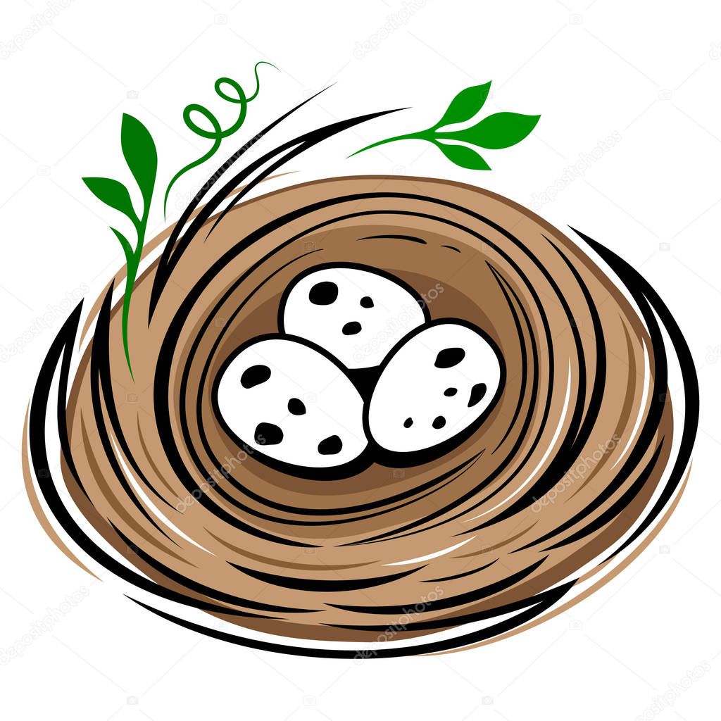 Bird's nest with eggs isolated on white background. Cartoon bird eggs nest draw vector illustration.