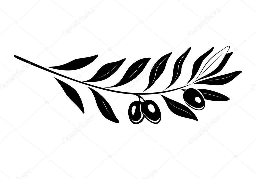 Olive branch with black olives and leaves. Retro emblem organic olive oil vector illustration isolated on white background.