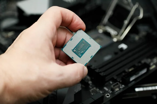 Cpu ソケットにインストールの前に Cpu — ストック写真