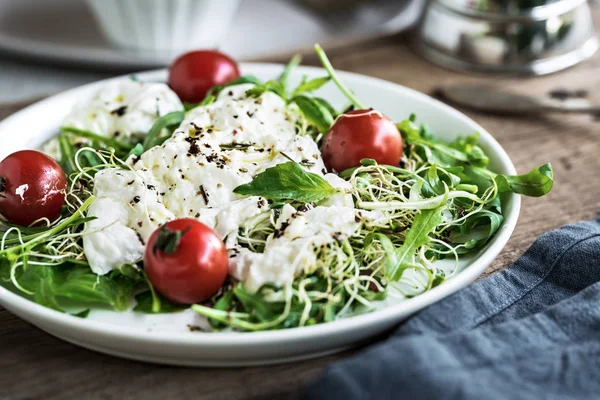 Burrata with Cherry tomatoes and Alfalfa Sprouts Salad — Stock Photo, Image