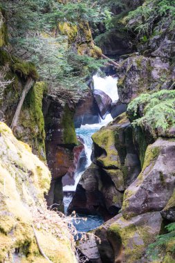 Buzul erime buzul Milli Parkı