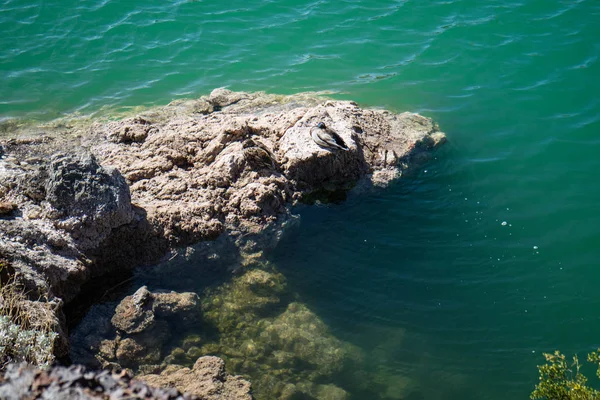 Θέα Ισορροπημένη Cove Ροκ — Φωτογραφία Αρχείου