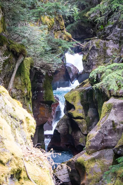 Buzul erime buzul Milli Parkı