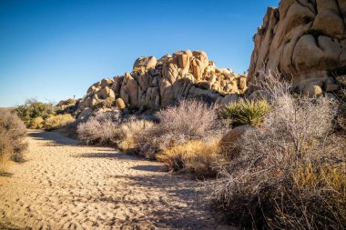 Boulder kayaların içinde Joshua Tree National Park