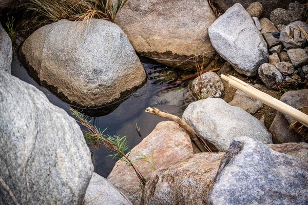 Oase Woestijn Van Joshua Tree National Park — Stockfoto