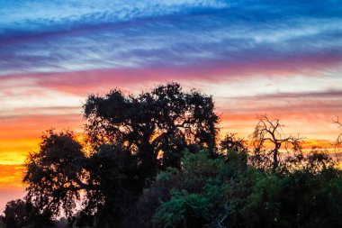 Dramatik canlı günbatımı manzara Rancho Oso, California