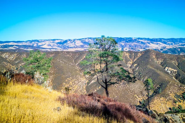 Forestal Manzara Pinnacle Milli Parkı Nda Muhteşem Bir Görünüm — Stok fotoğraf