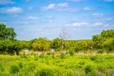 Bir güzel göl park Tishomingo'ya Ulusal Yaban hayatı sığınma evi, Oklahoma