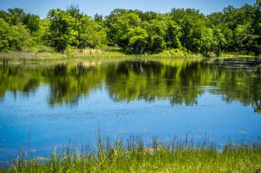 Bir güzel göl park Hagerman yaban hayatı sığınma evi, Texas