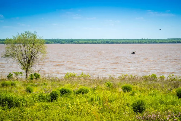 Magnifique Parc Lacustre Tishomingo National Wildlife Refuge Oklahoma — Photo