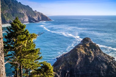 Florence, Oregon Heceta kafa feneri State Park Manzaralı bakış açısı