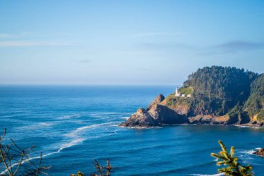 Florence, Oregon Heceta kafa feneri State Park Manzaralı bakış açısı