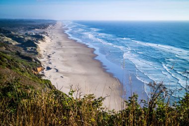 Florence, Oregon Heceta kafa feneri State Park Manzaralı bakış açısı
