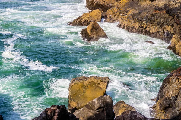 Сценическая Смотровая Площадка Маяка Heceta Head State Park Флоренции Орегон — стоковое фото