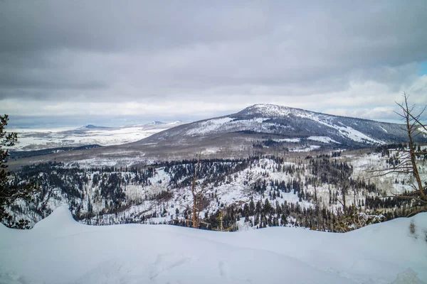 Прекрасним Видом Forestal Пейзаж Кедр Перерв National Monument Штат Юта — стокове фото