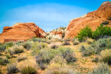 Beyaz Navajo kumtaşı kar Kanyon Devlet Parkı, Utah