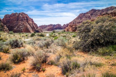 Dağ sırtlar kar Kanyon Devlet Parkı, Utah