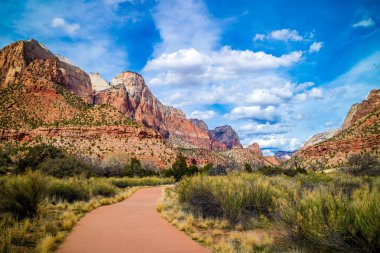 Zion National Park, Utah ve bitki örtüsü ile parlayan güneşi ile bir orman iz