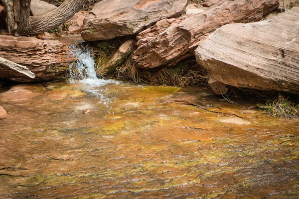 Smaragdové Studánky Zion National Park Utah — Stock fotografie