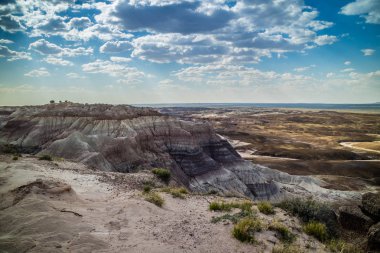 Taşlaşmış Orman Ulusal Parkı, Arizona 'daki Mavi Mesa Yolu.