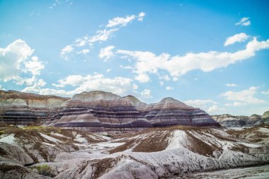 Taşlaşmış Orman Ulusal Parkı, Arizona 'daki Mavi Mesa Yolu.