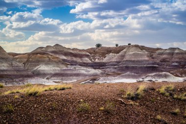 Taşlaşmış Orman Ulusal Parkı, Arizona 'daki Mavi Mesa Yolu.