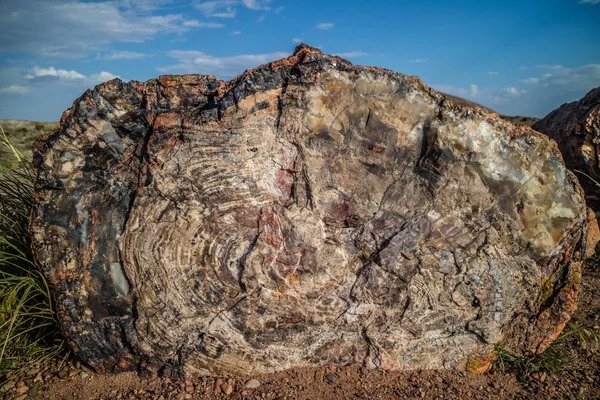 Newspaper Rock Parque Nacional Bosque Petrificado Arizona — Foto de Stock