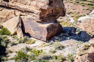 Taş taş taş orman Milli Parkı, Arizona