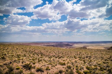 Manzara güzel taşlaşmış orman Milli Parkı, Arizona'nın çöl